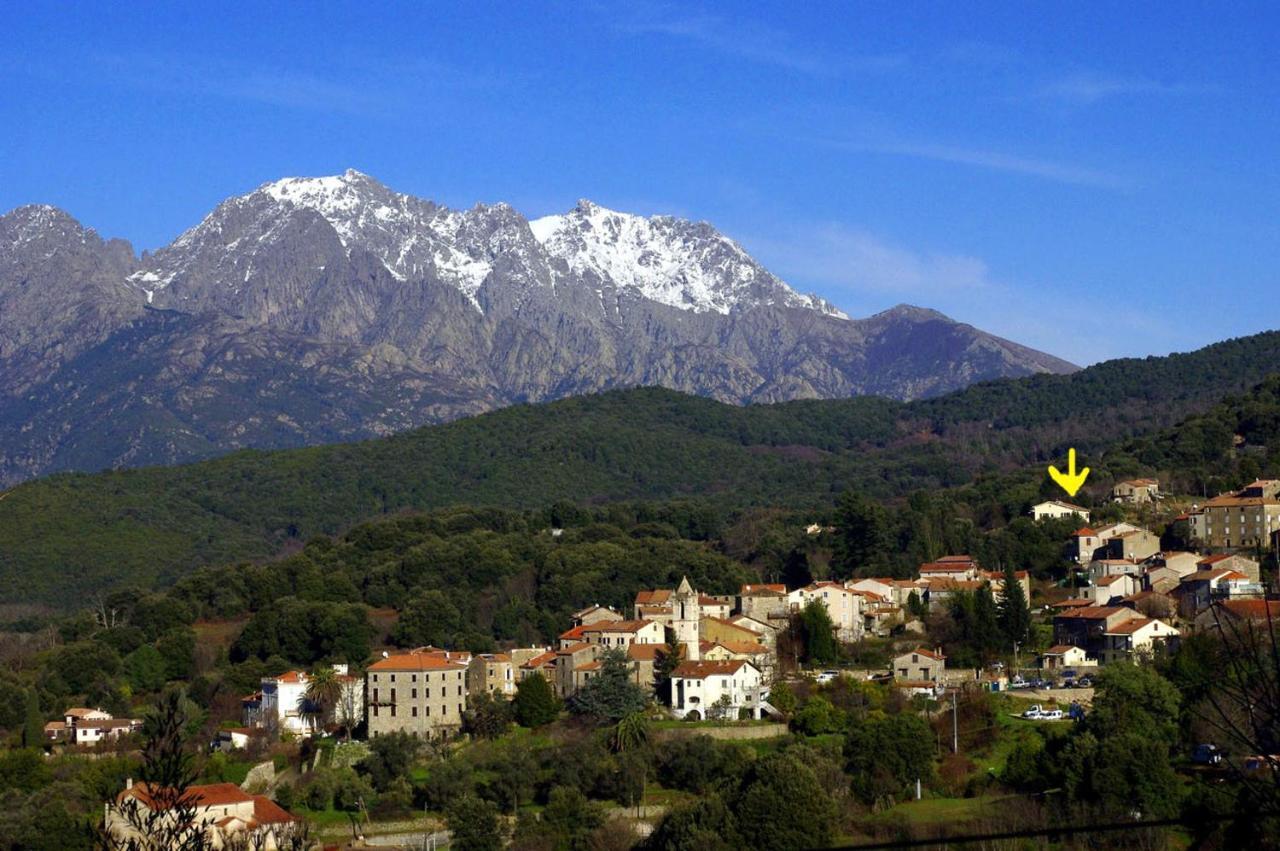 95M2 Au Calme A 25Mn Ajaccio, Plages, Linge Inclus Parking Ok Ucciani Ngoại thất bức ảnh