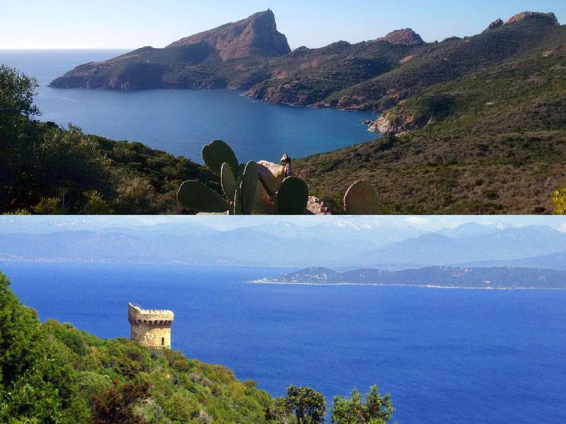 95M2 Au Calme A 25Mn Ajaccio, Plages, Linge Inclus Parking Ok Ucciani Ngoại thất bức ảnh